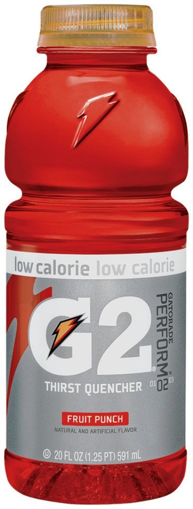 Gatorade G2 Low Calorie Sports Drink, Ready to Drink, Fruit Punch Flavor - Bottles, Hydrating Thirst Quencher, 24 Pack, 20 oz