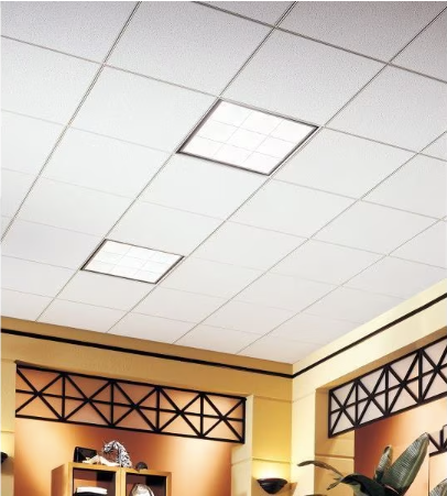 Armstrong World Industries Ceiling Tile - Fine Fissured Series, White, Beveled Tegular Edge, Medium Texture, Mold and Sag Resistant, 16 Pack, 24x24 Inch