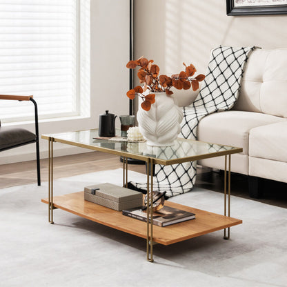 2 Tiers Rectangle Glass Coffee Table with White and Gold Steel Frame