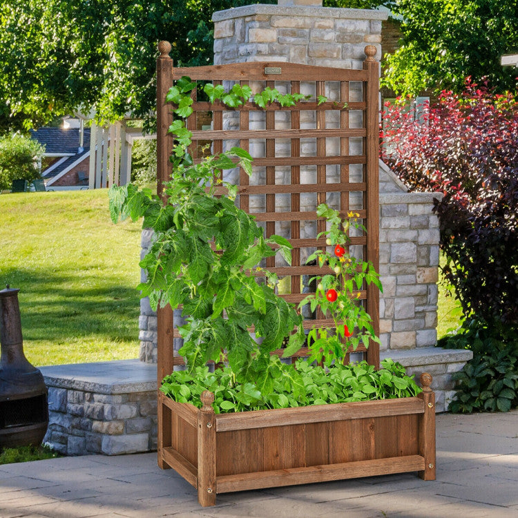 Solid Freestanding Wood Planter Box with Trellis for Garden