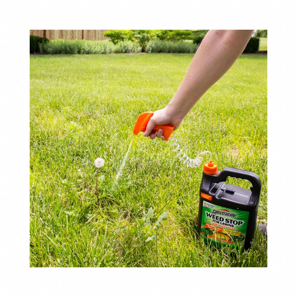 Grass and Weed Killer, 1 gal, Ready-to-Use