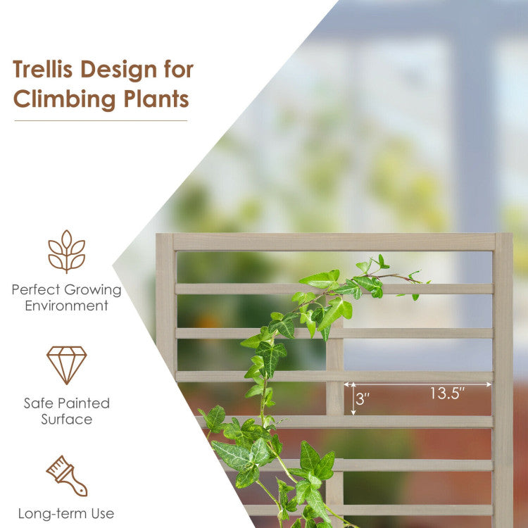 Raised Garden Bed with Trellis for Climbing Plants