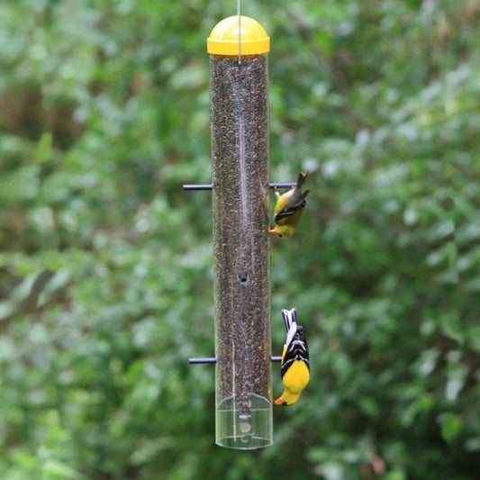 Feeder Bird Upside Down 2lbs