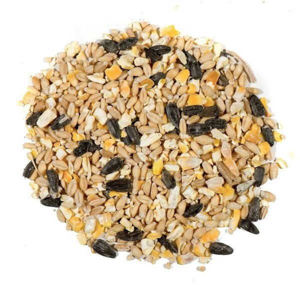 Nature's Nuts Super Value Assorted Species Millet Wild Bird Food 20 lb