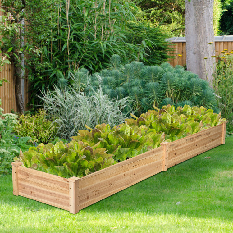 Wooden Vegetable Raised Garden Bed for Backyard