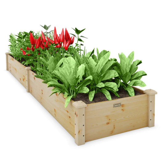 Wooden Raised Garden Bed Outdoor for Vegetables, Flowers, and Fruit