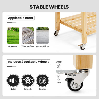 Wood Elevated Planter Bed with Lockable Wheels