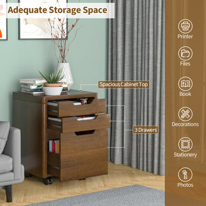 Mobile Storage Cabinet with 3 Drawers