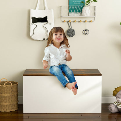 Flip-top Storage Chest with Self-hold Cover and Pneumatic Rod