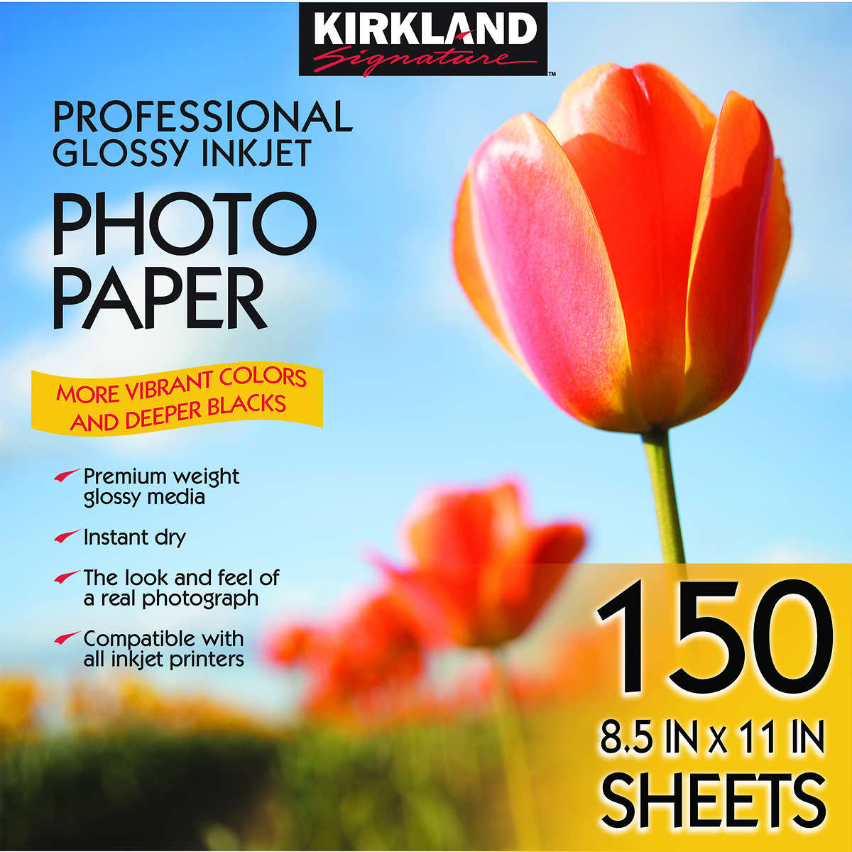 Kirkland Signature 8.5" x 11" Professional Glossy Inkjet Photo Paper