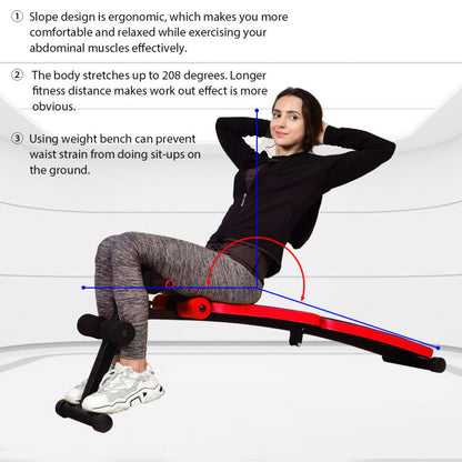 Abdominal Twister Trainer with Adjustable Height Exercise Bench